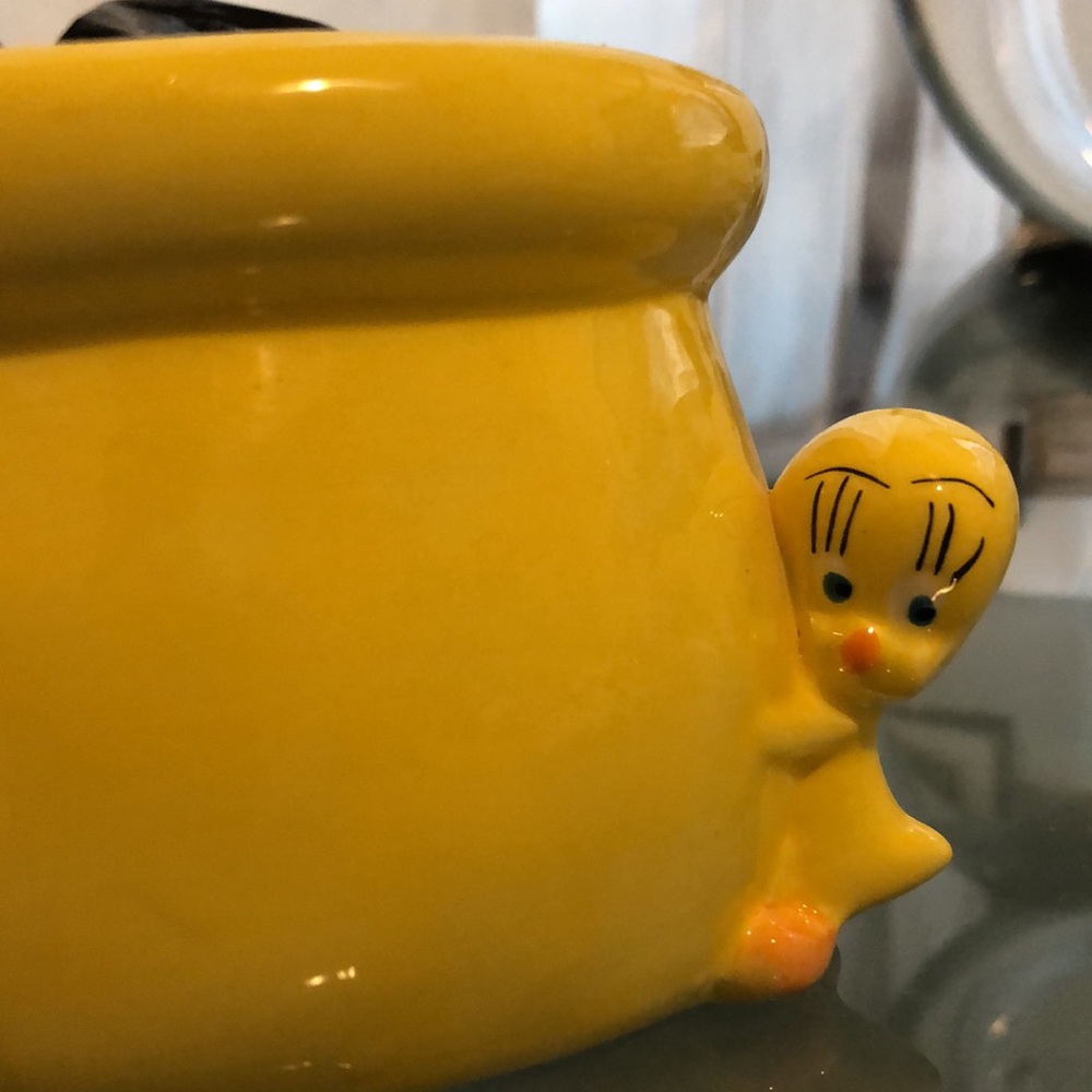 Tweety and Sylvester Plant Potter NWOT